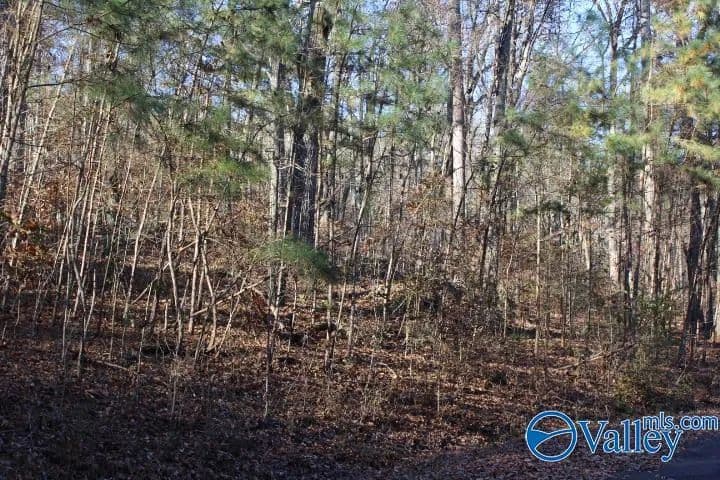 Lots & Land-Other in Guntersville