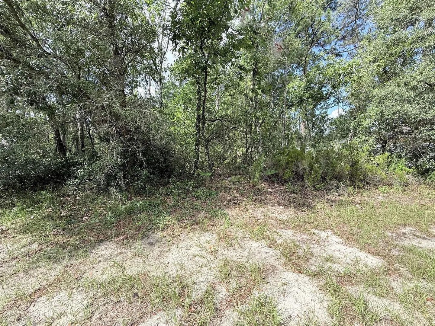 0.23 Acres of Land for Sale in Ocala, Florida - Ocala, Florida, 34473