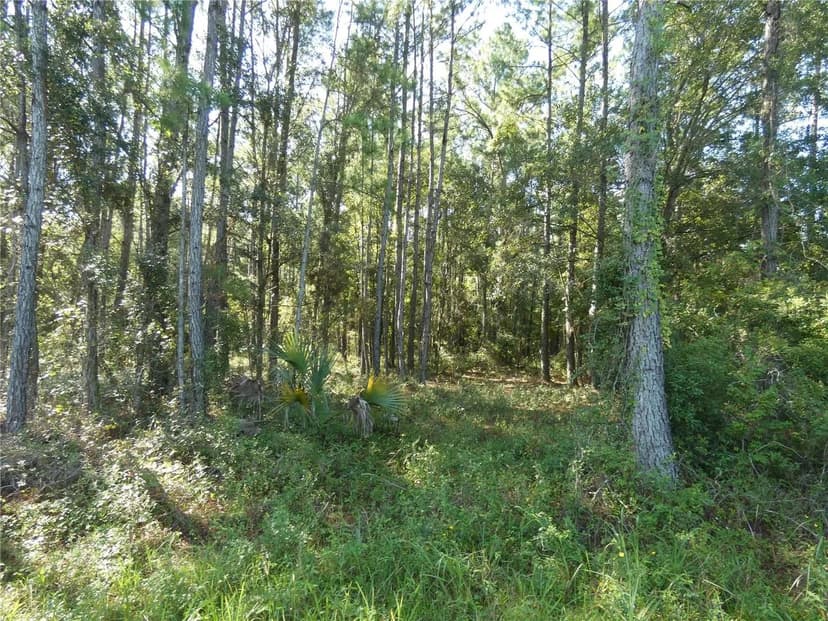 Lots & Land-Other in OTTER CREEK