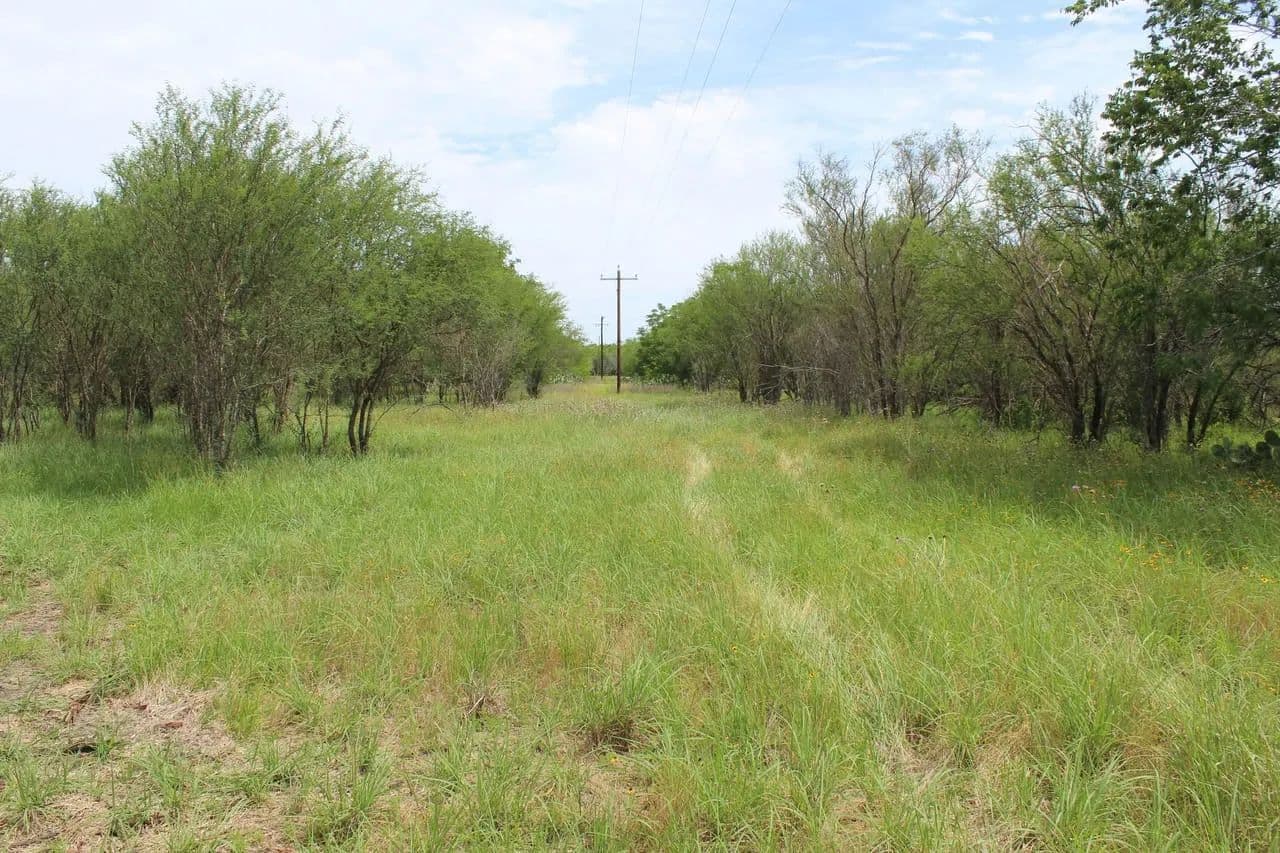 Owner financing in Goliad County near Charco! - Goliad, Texas, 77963