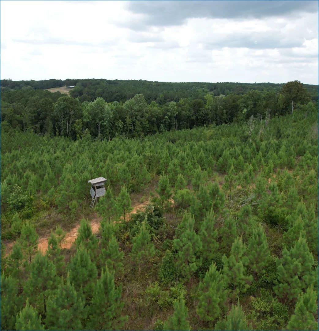 75.9 Acres in Lafayette County in Paris, MS  - Paris, Mississippi, 38949