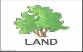 Lots & Land-Other in Gouldsboro