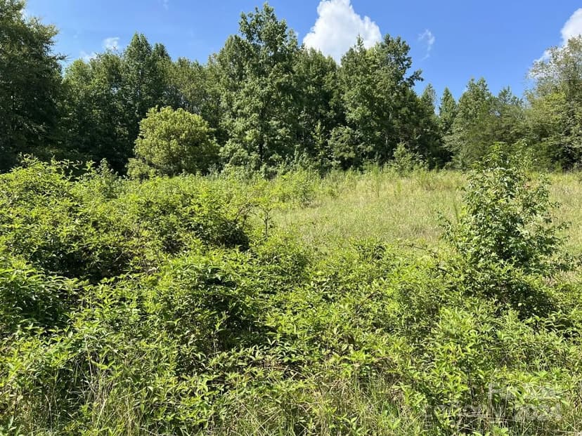 Lots & Land-Other in Albemarle