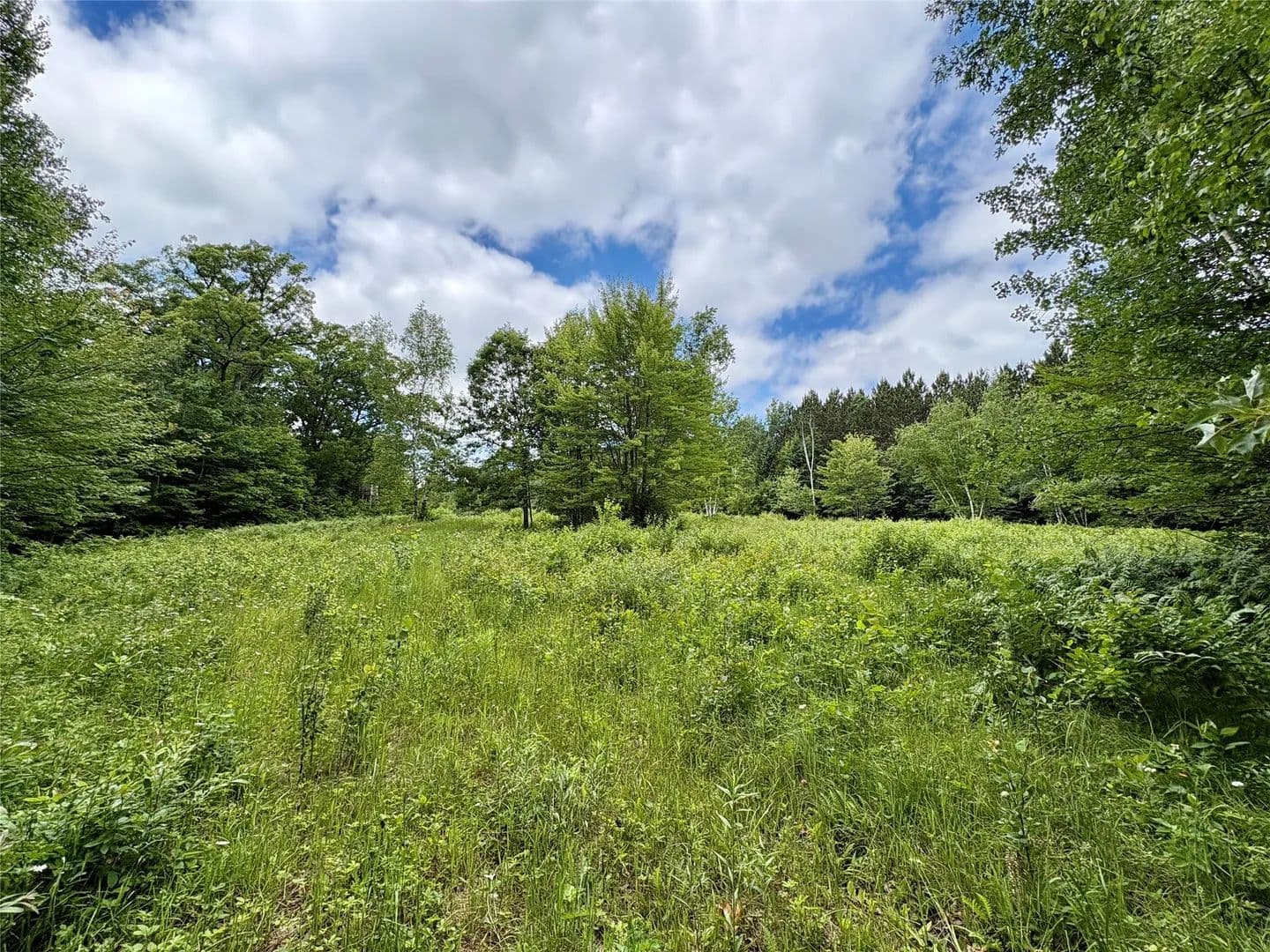 80 Acres of Land for Sale in Chetek, WI - Chetek, Wisconsin, 54822