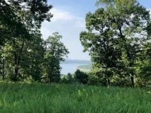 Lots & Land-Other in Yellville