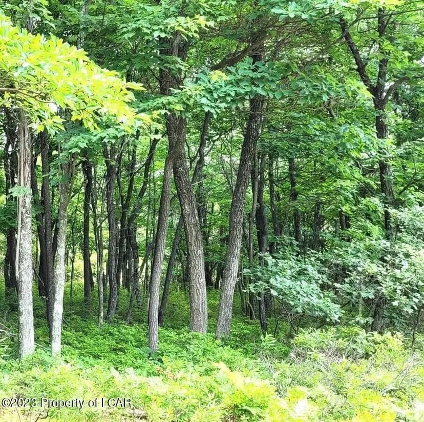 Lots & Land-Other in Hazle Twp