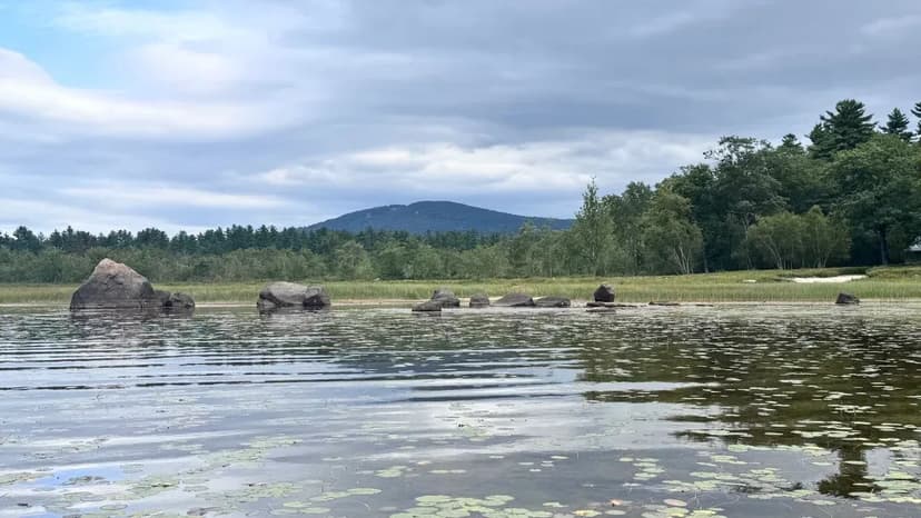 Fryeburg, Map 20 Lot 19 Carter Hill -182 acres