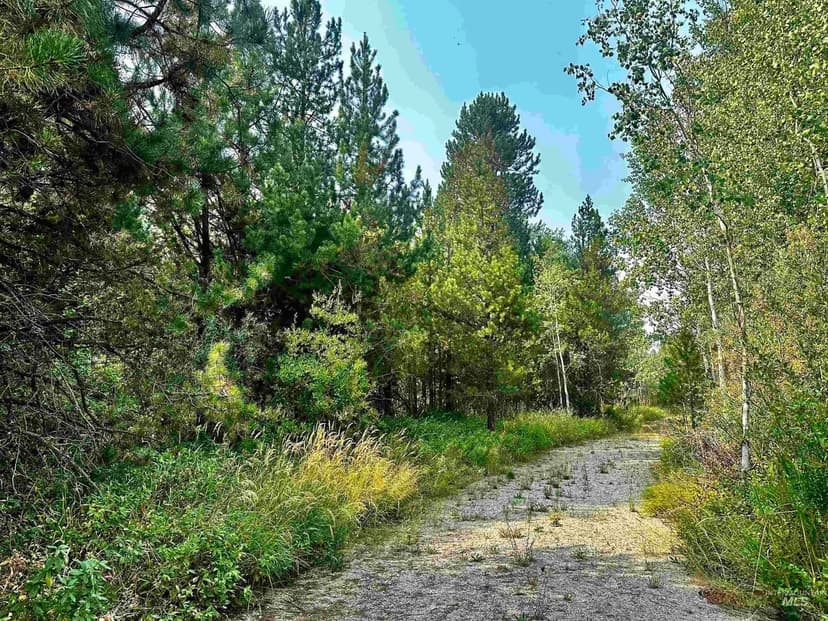 Lots & Land-Other in Cascade