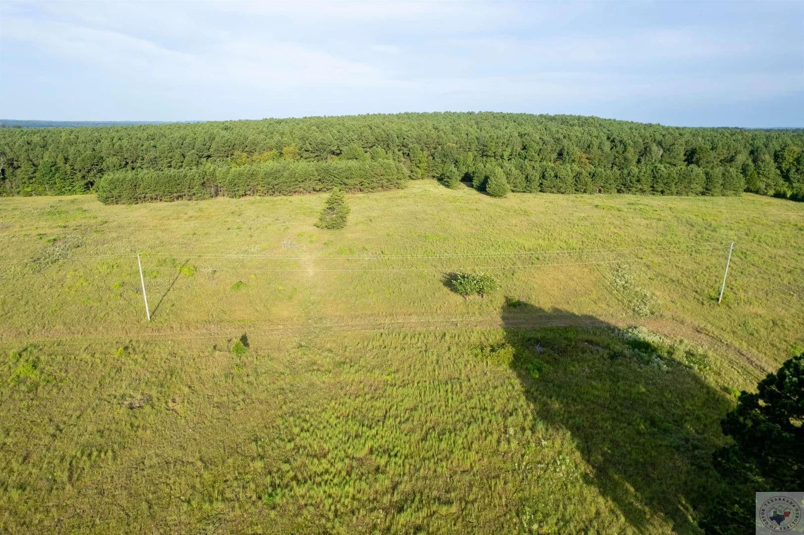 Vacant Land in Atlanta - Atlanta, Texas, 75551