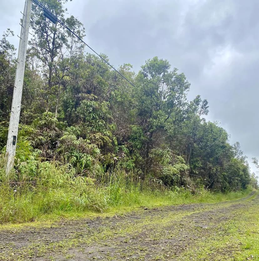 Vacant Land in Mountain View