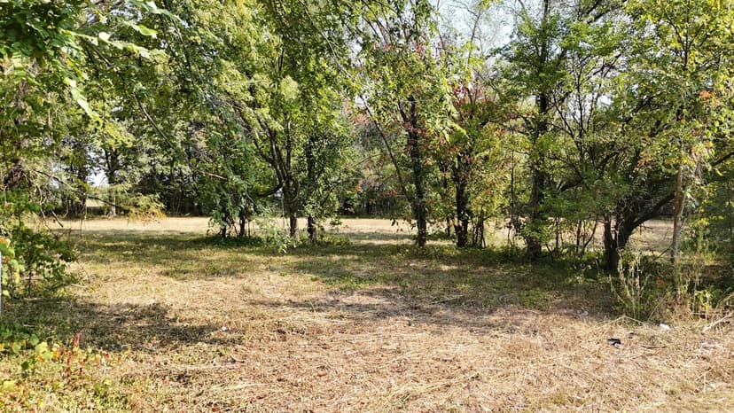 Lots & Land-Other in Bolivar