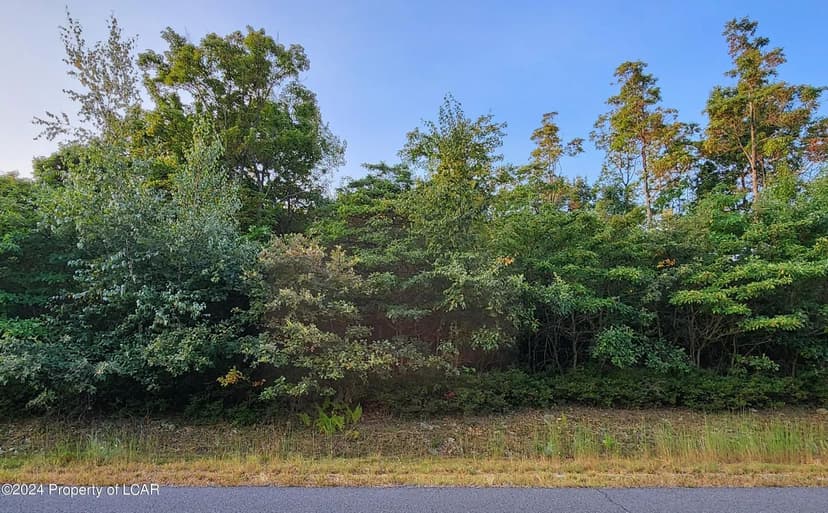 Lots & Land-Other in Hazle Twp