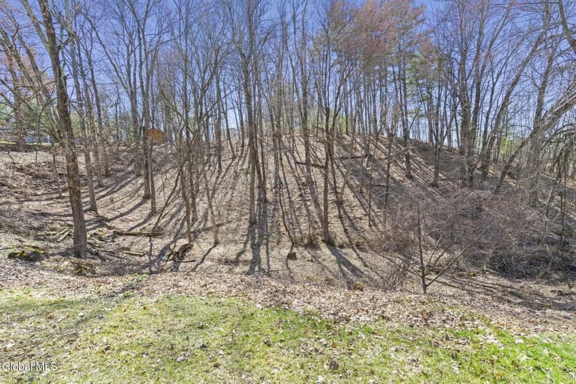 Land -Single Family Acreage in Wynantskill