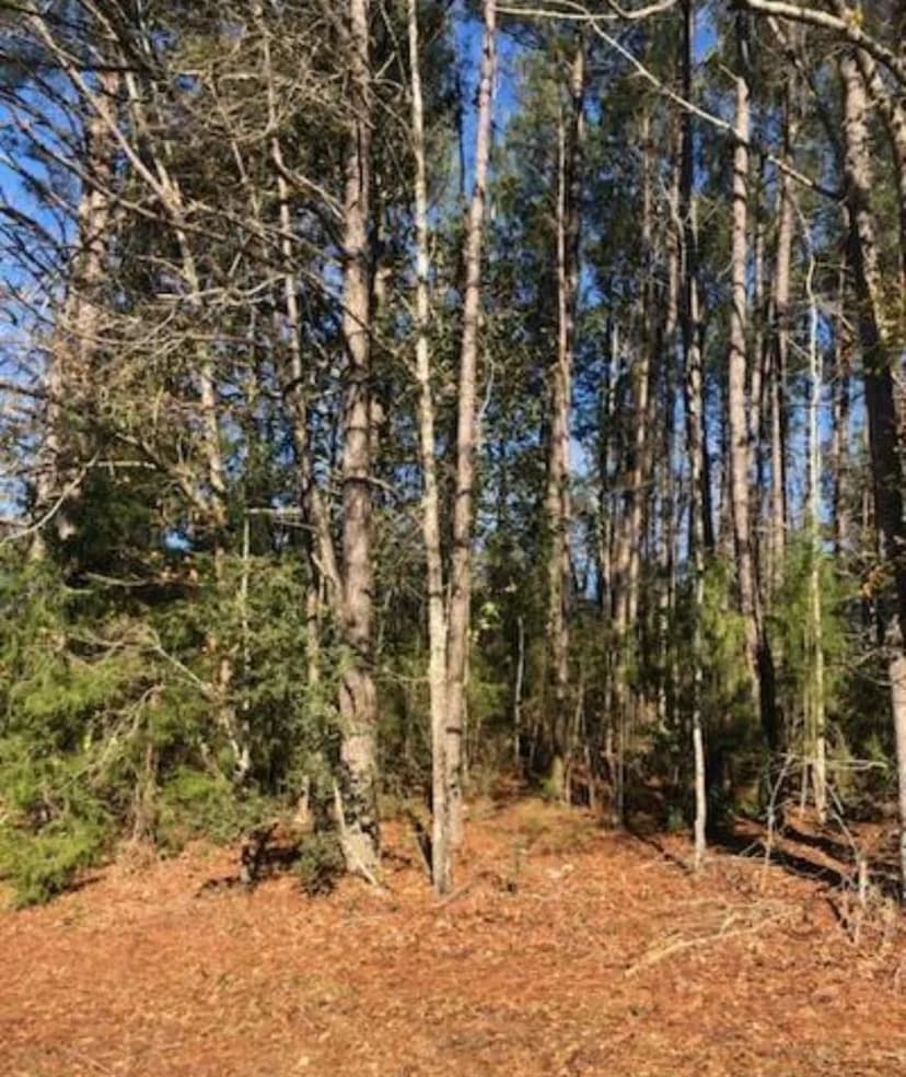 Lots & Land-Other in Ozark