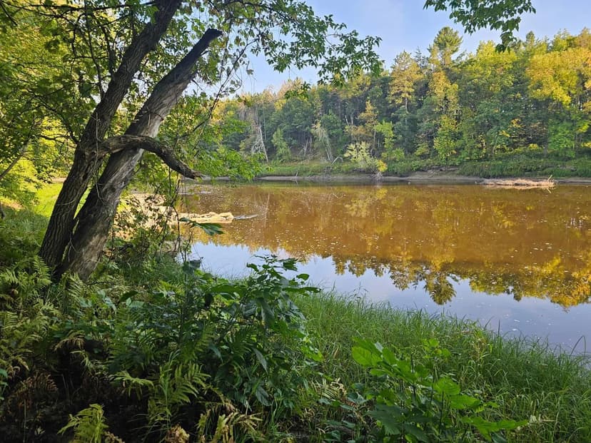Vacant Land in Crosby
