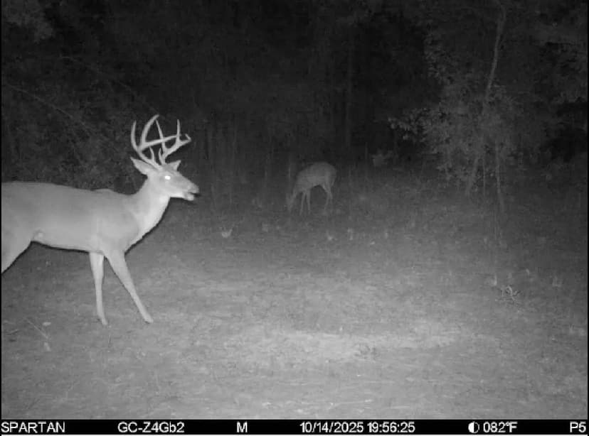 Oregon Trial Hunting Retreat