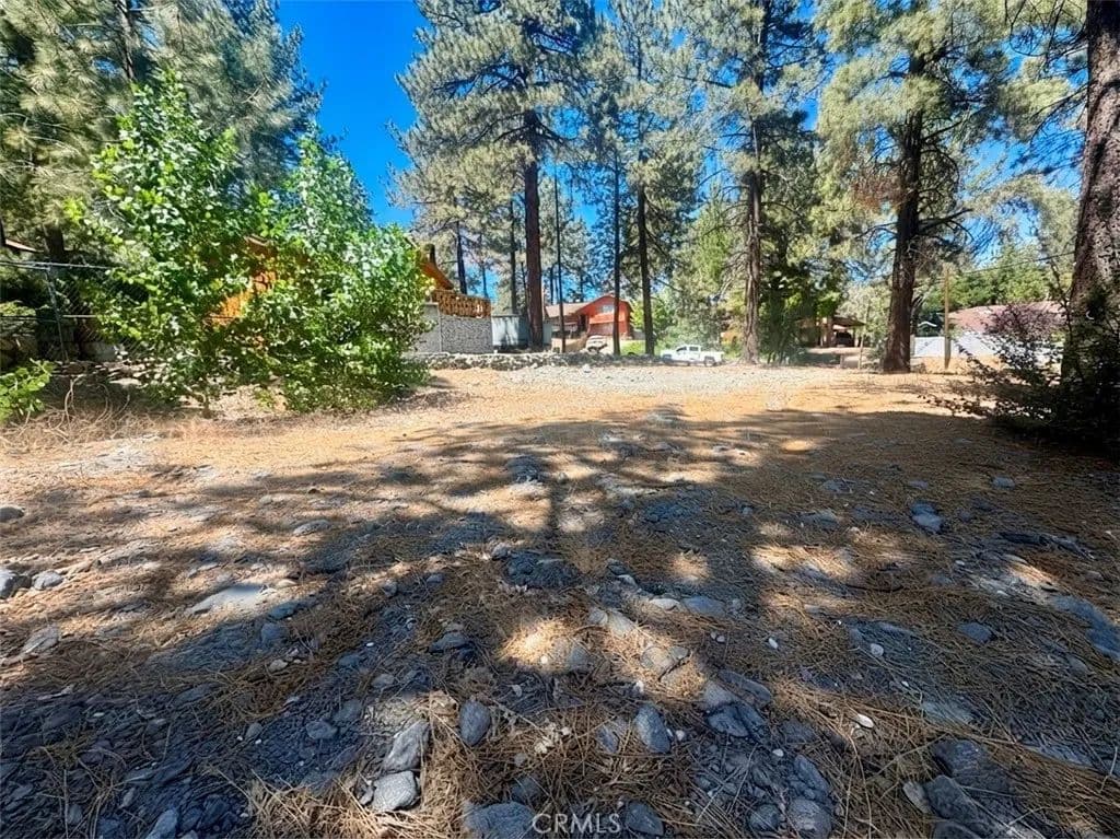 Vacant Land in Wrightwood - Wrightwood, California, 92397