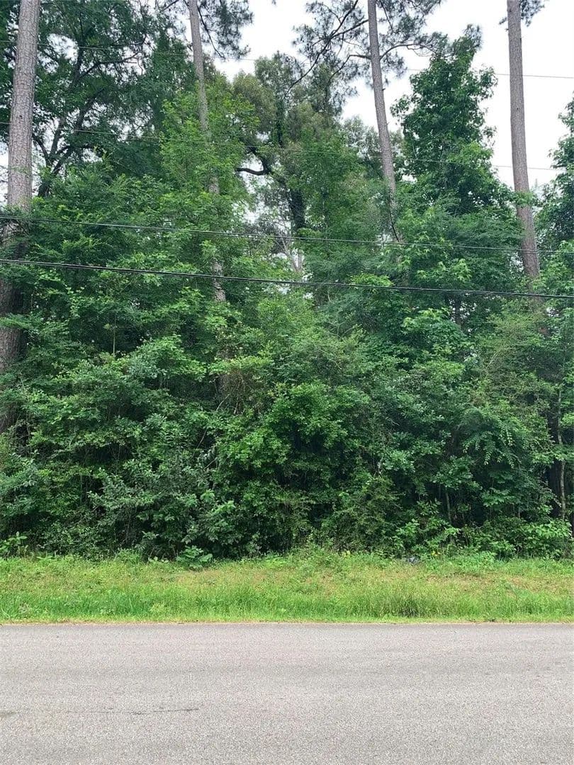 Lots & Land-Other in Montgomery - Montgomery, Texas, 77356