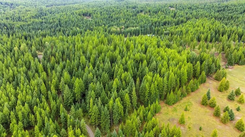 Lots & Land-Other in Rexford