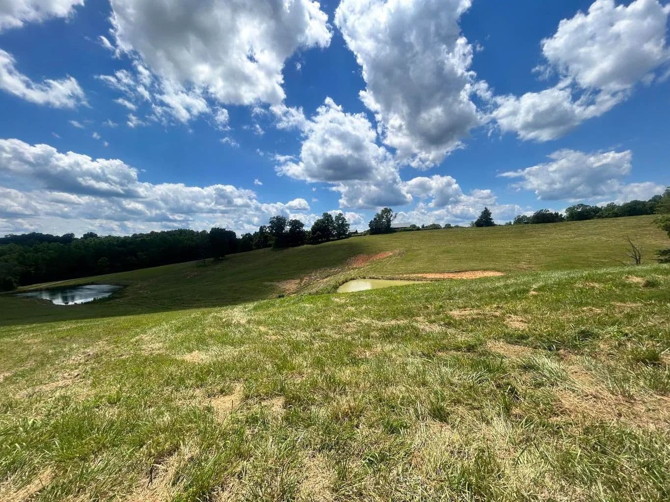 Land -Agricultural (Not Zoned) in Burkesville - Burkesville, Kentucky, 42717