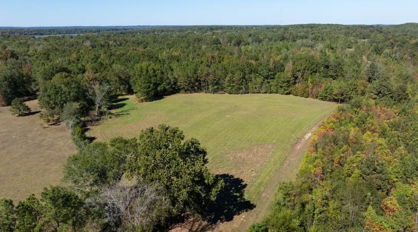 229 Acre Hunting Tract at Gee's Bend with Gorgeous Timber in Wilcox County