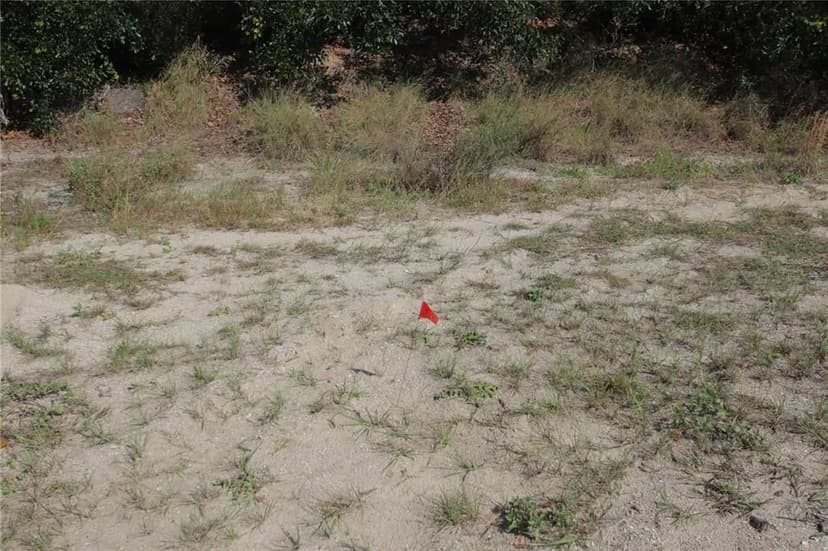 Vacant Land in Ponce Inlet
