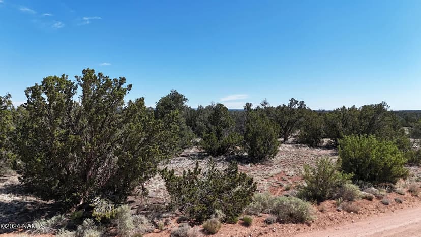 Lots & Land-Other in Williams