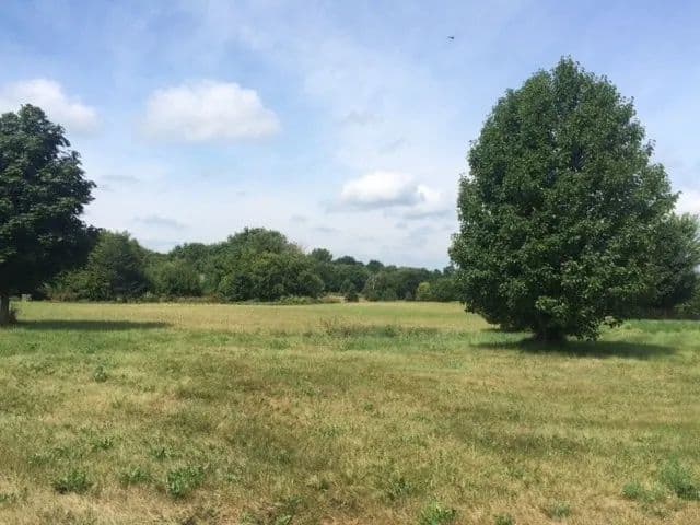 Vacant Land in Spring Grove