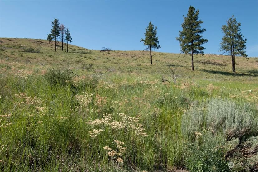Lots & Land-Other in Methow