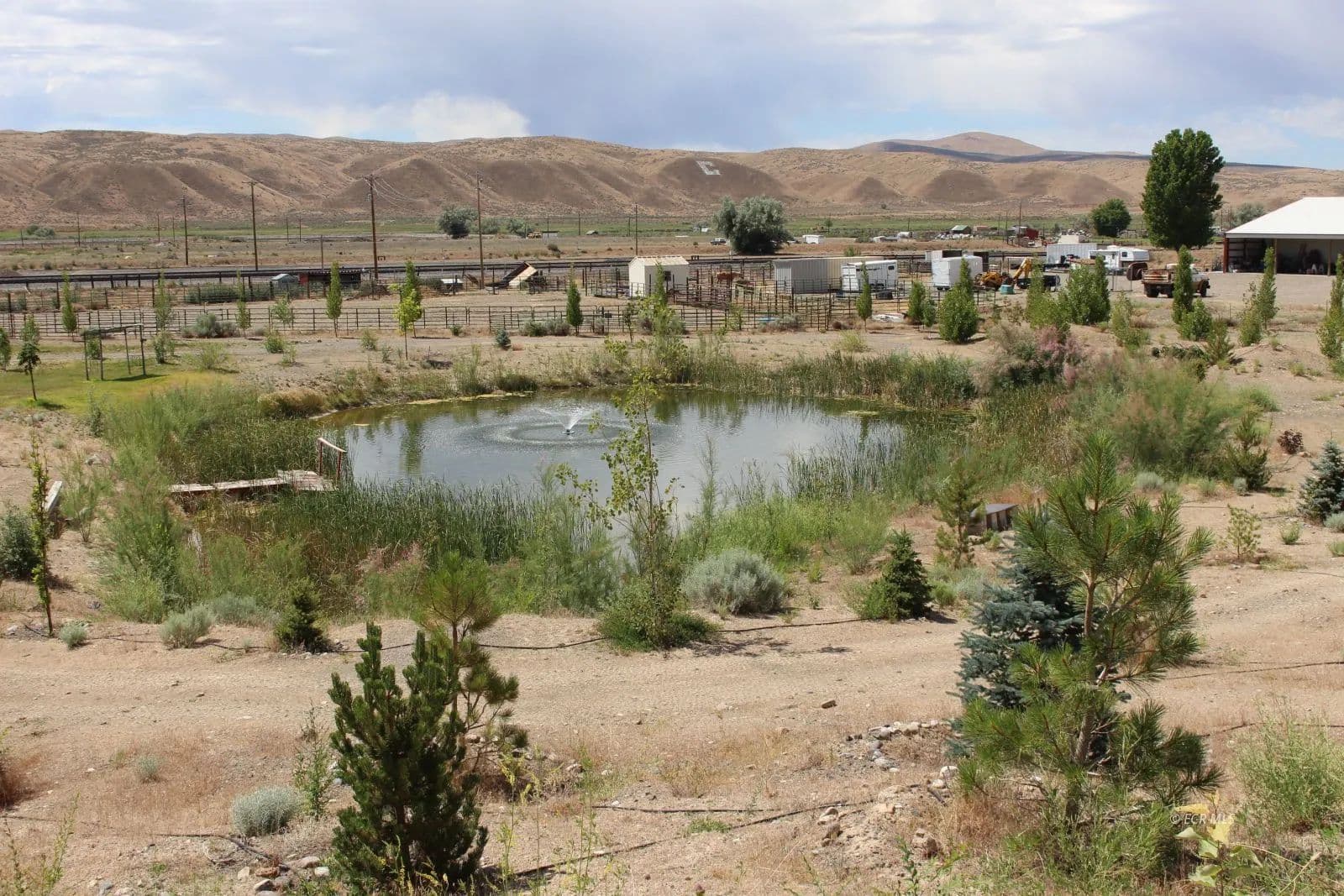 Vacant Land in Carlin - Carlin, Nevada, 89822