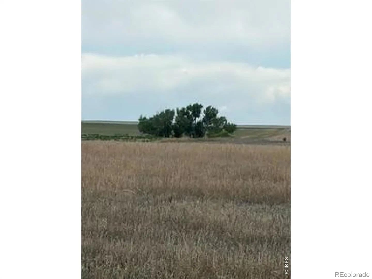 Property from Peoria Crossing Road - KW - Bennett, Colorado, 80102