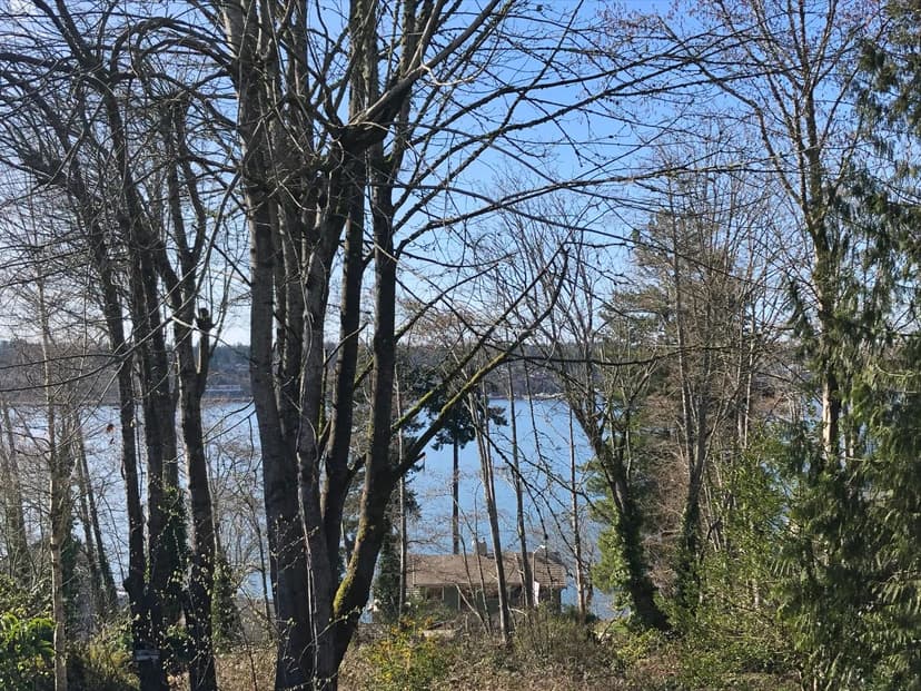 0.123 acres Prime Olympia View Lot!