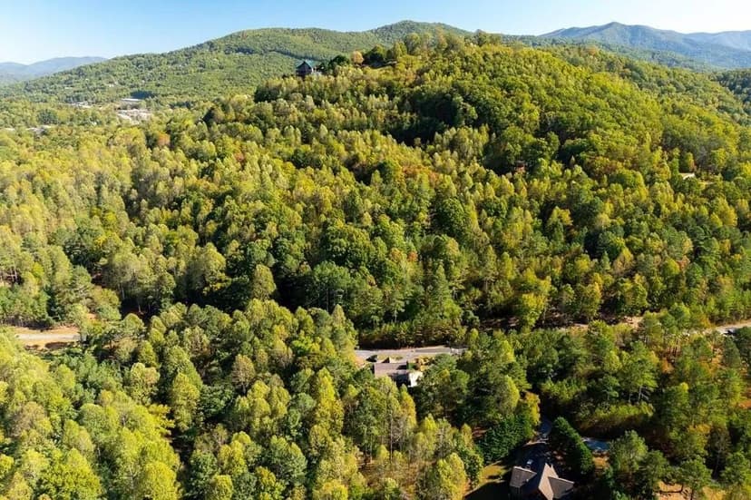 Lots & Land-Other in Young Harris