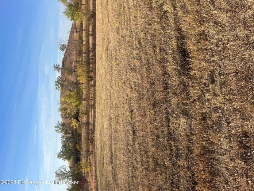 Vacant Land in Bowman
