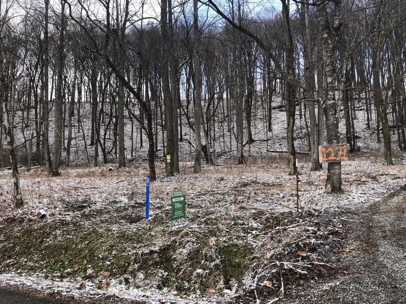 Lots & Land-Other in Bethpage