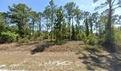 Vacant Land in Lehigh Acres