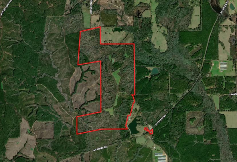 578 Acres with a Home in Crenshaw County, AL
