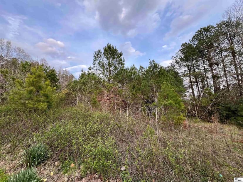 Lots & Land-Other in Eros