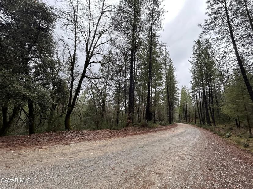 Lots & Land-Other in Nevada City
