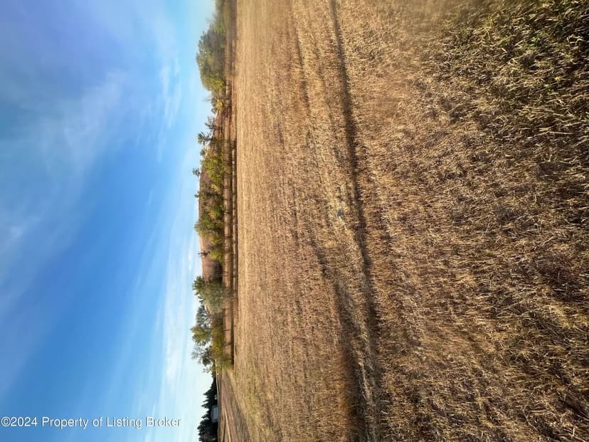 Vacant Land in Bowman