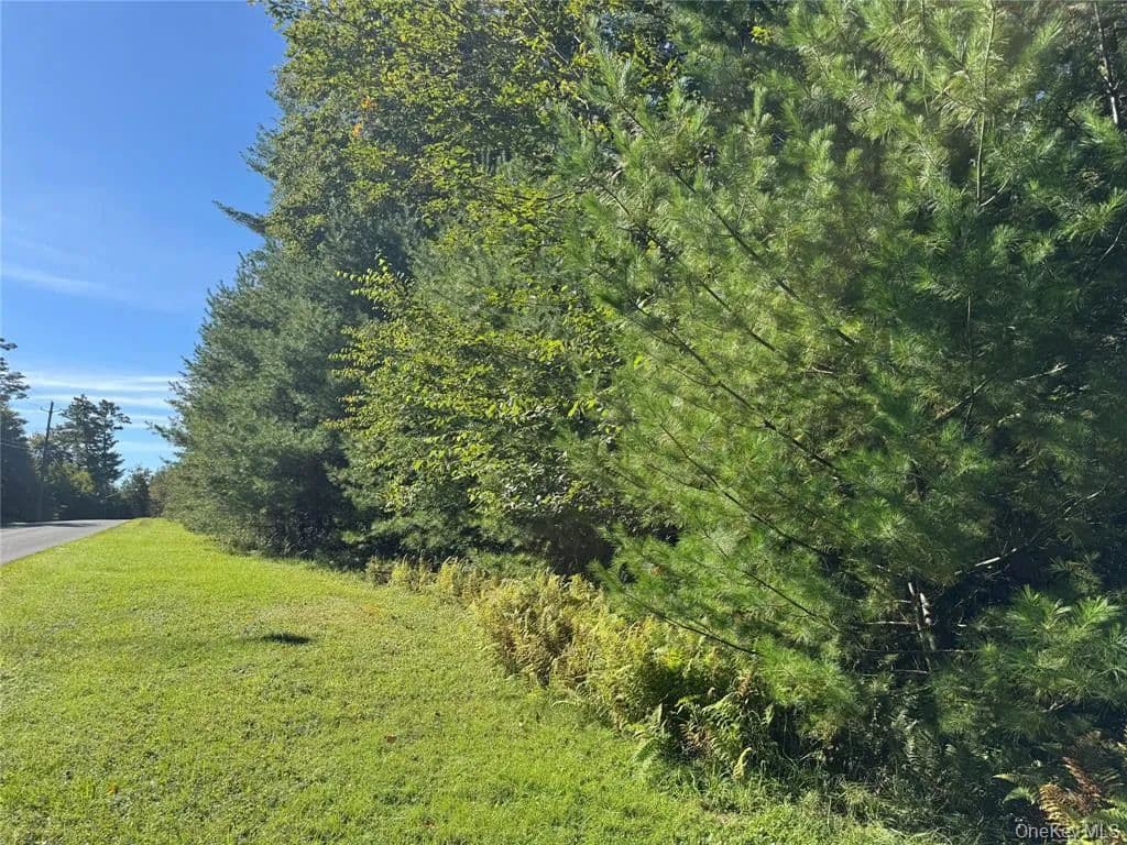 Land -Single Family Acreage in Bethel - Bethel, New York, 12720