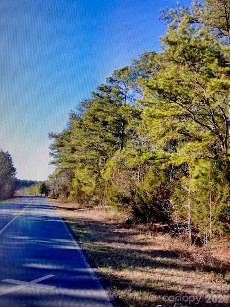14.5 Acres of Land for Sale in Peachland, North Carolina - Peachland, North Carolina, 28133