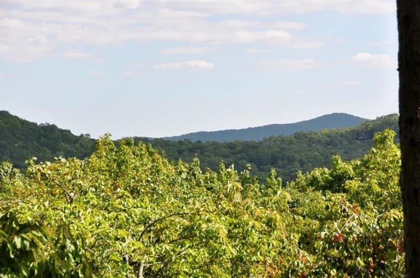 Land -Single Family Acreage in Big Canoe