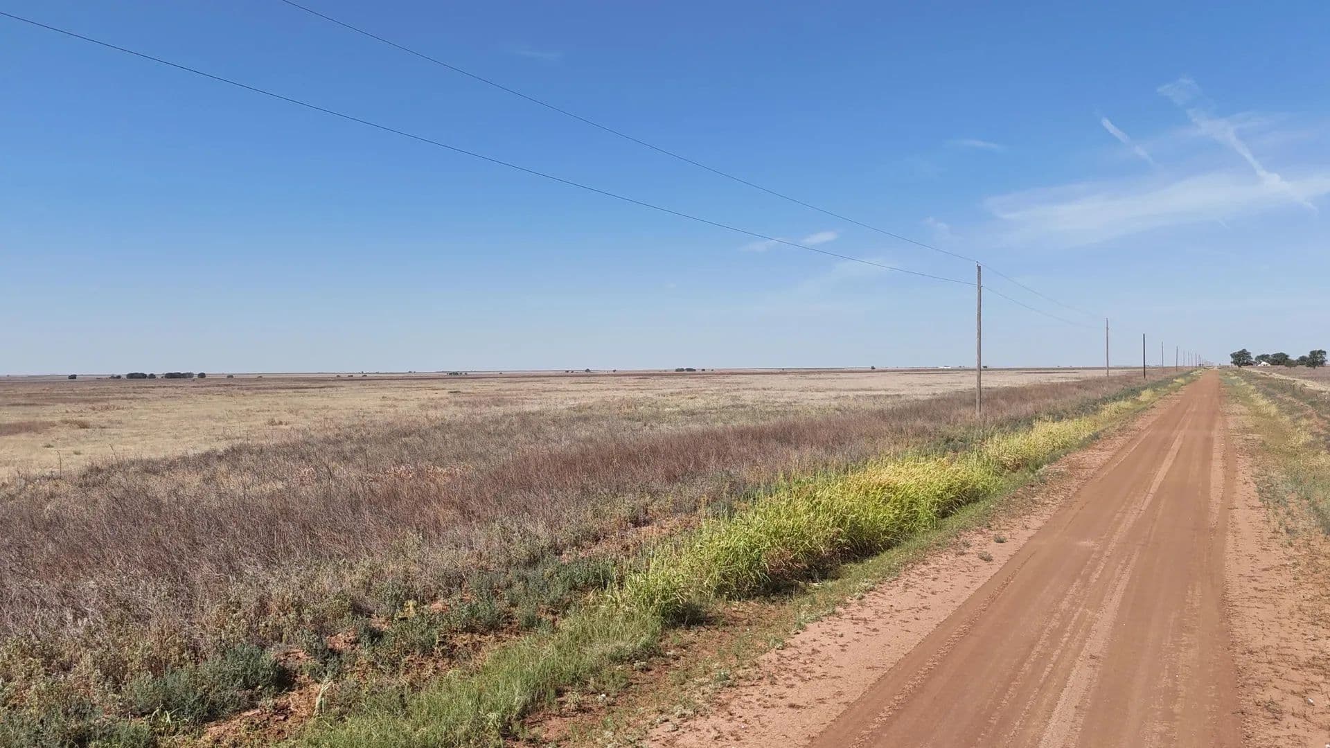 Land for Sale in Bovina, TX - Bovina, Texas, 79009