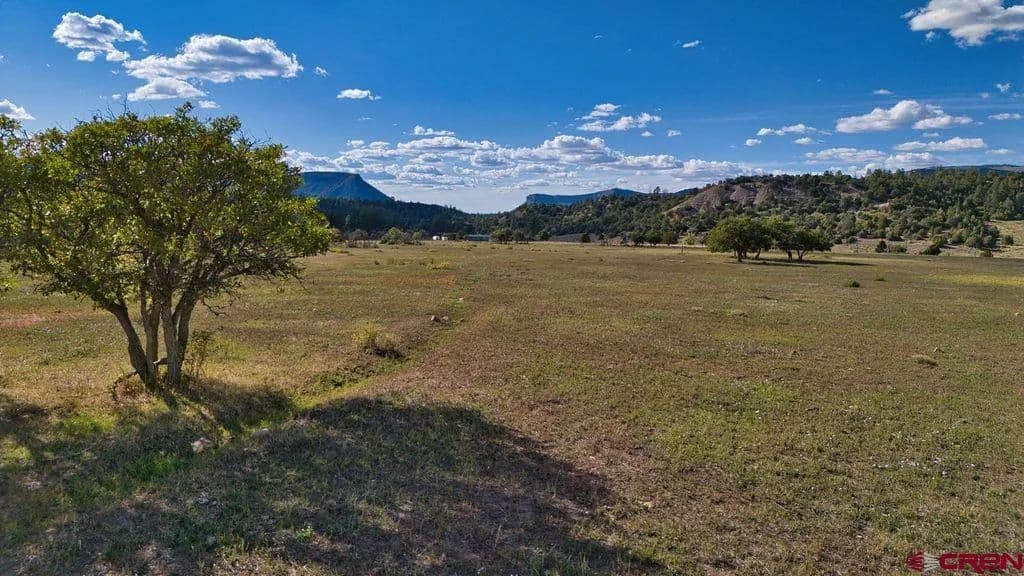 Lots & Land-Other in Groundhog - Colorado, 81324