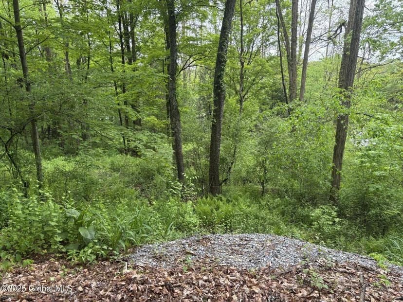 Land -Single Family Acreage in Milton