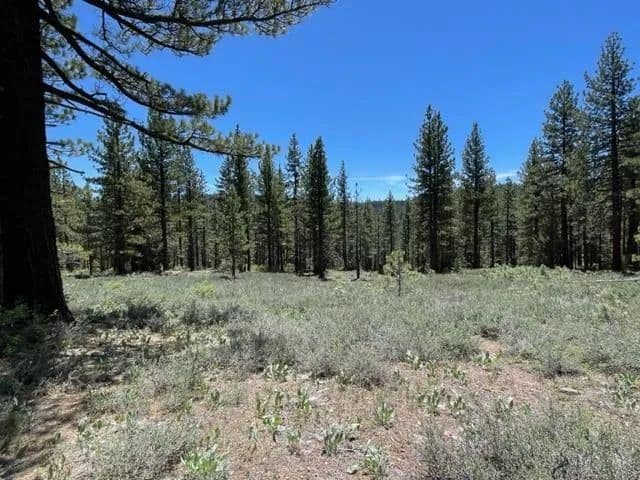 Vacant Land in Sierraville - Sierraville, California, 96125