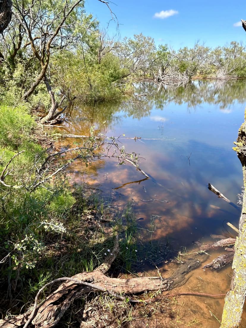 8+/- Acres, Taylor County