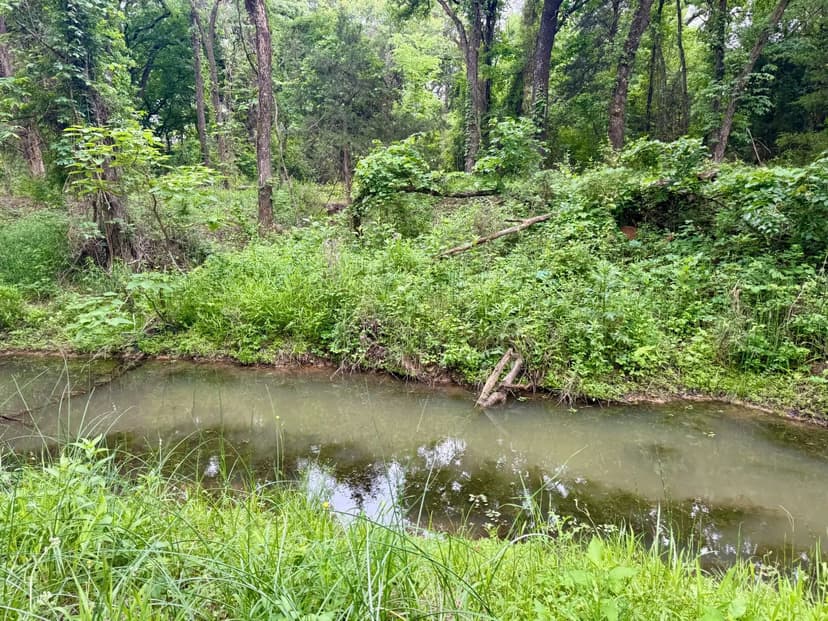 21 +/- Acres with Ritchie Creek