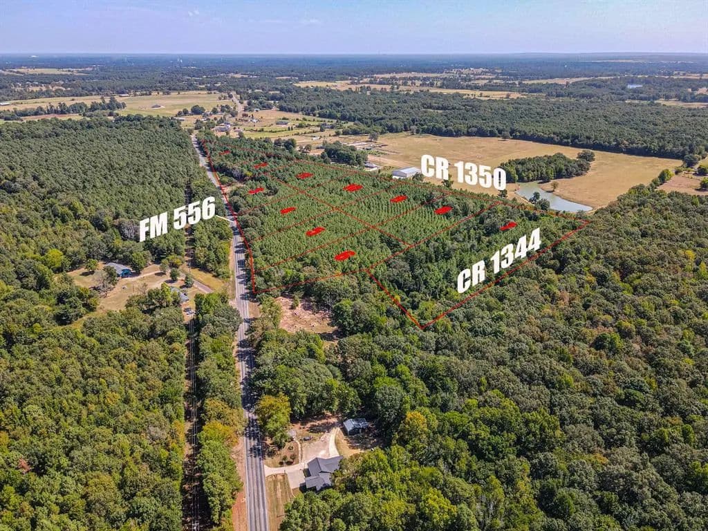 Vacant Land in Pittsburg - Pittsburg, Texas, 75686